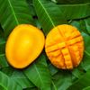 Mangoes
