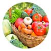 Organic Fruits & Vegetables