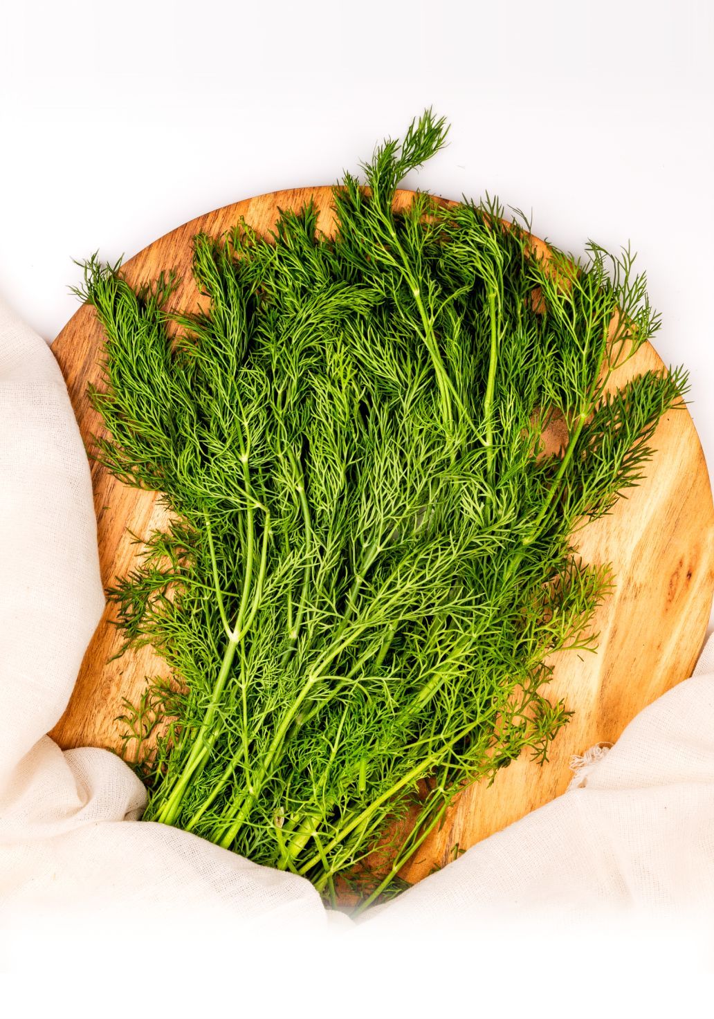 Dill Leavesimg 3