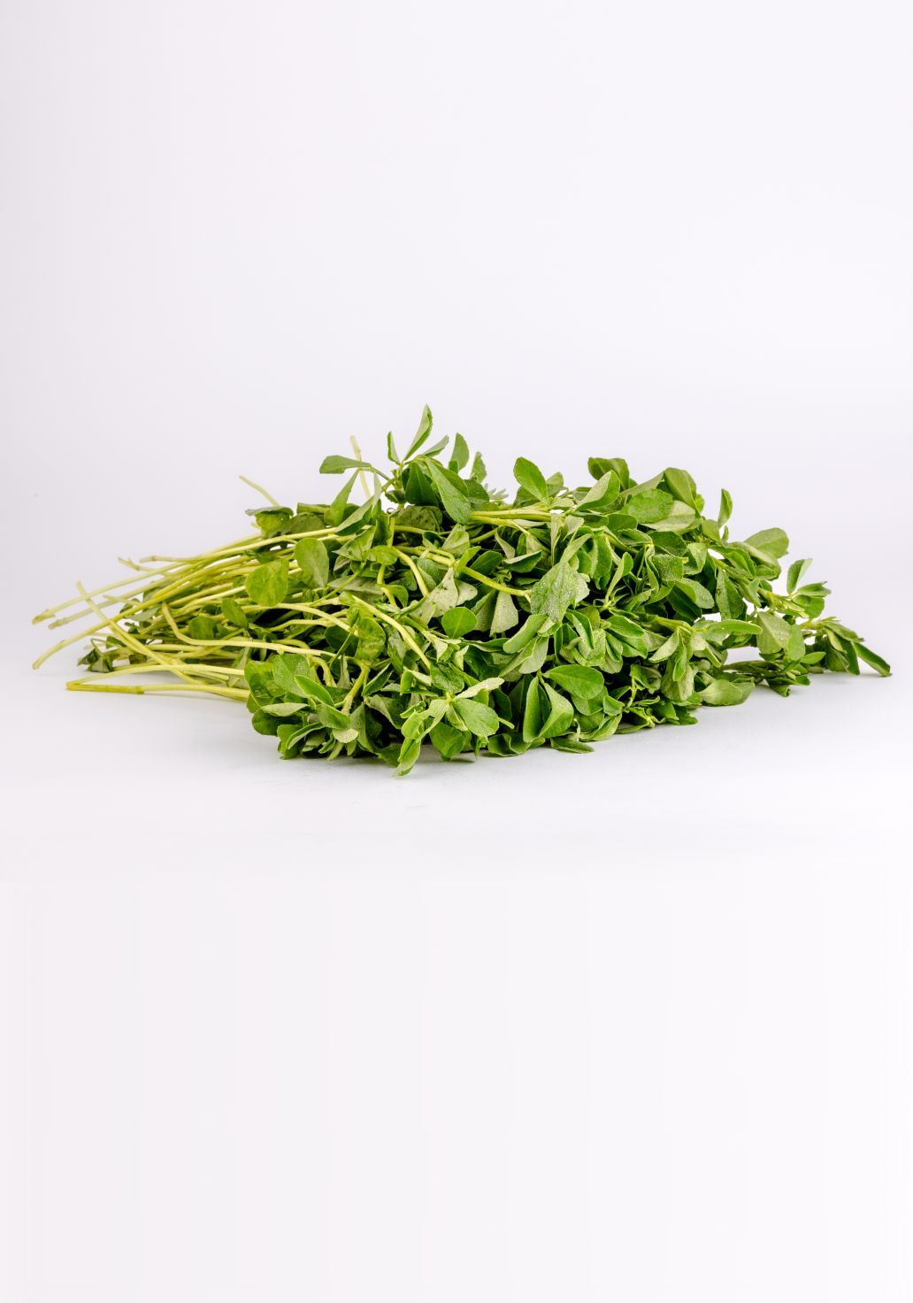 Fenugreek [Methi]img 1