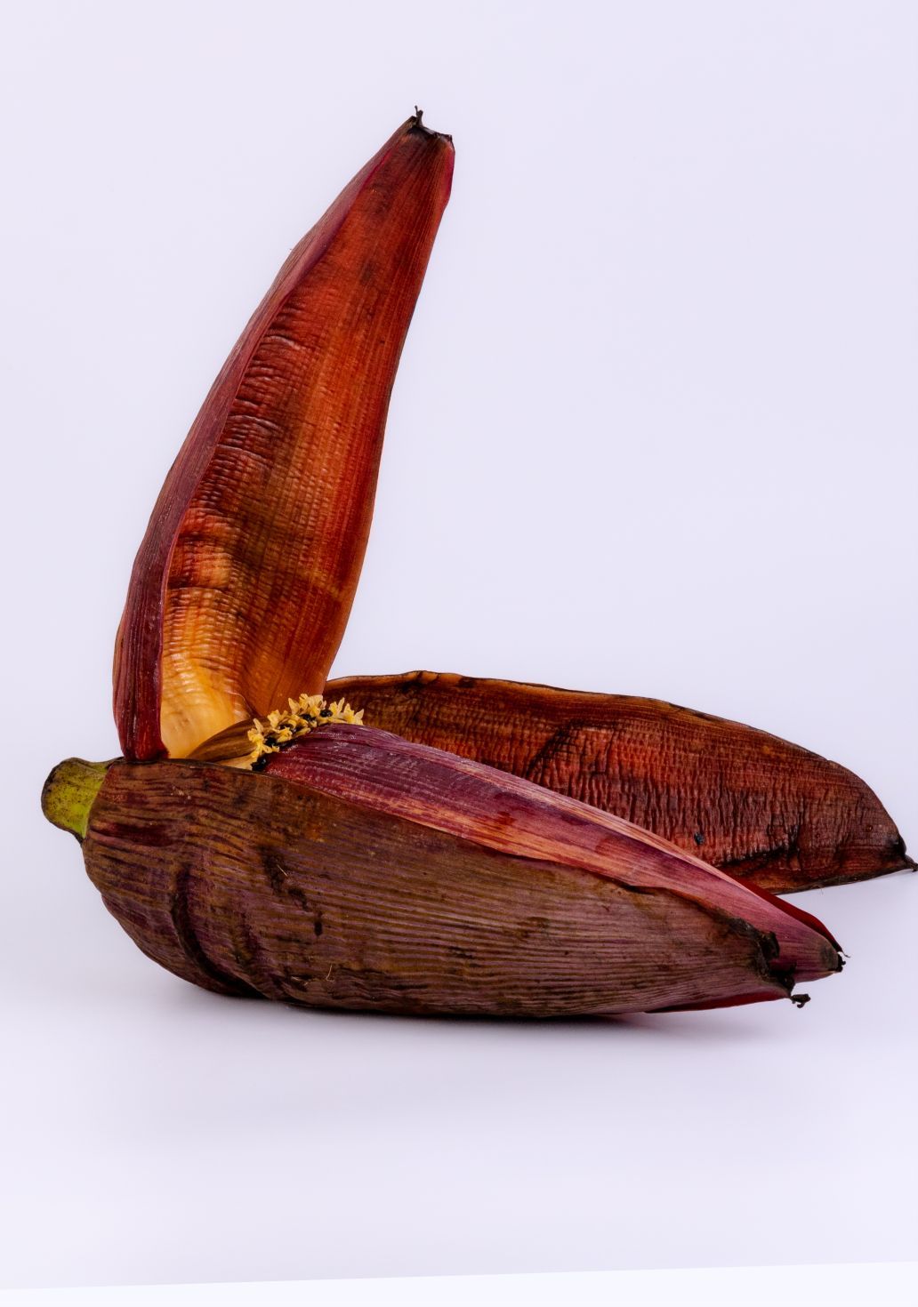 Banana Flowerimg 1