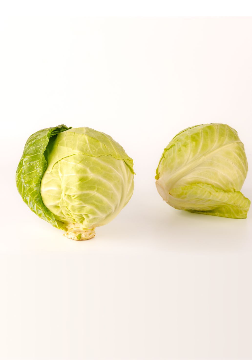 Cabbageimg 2