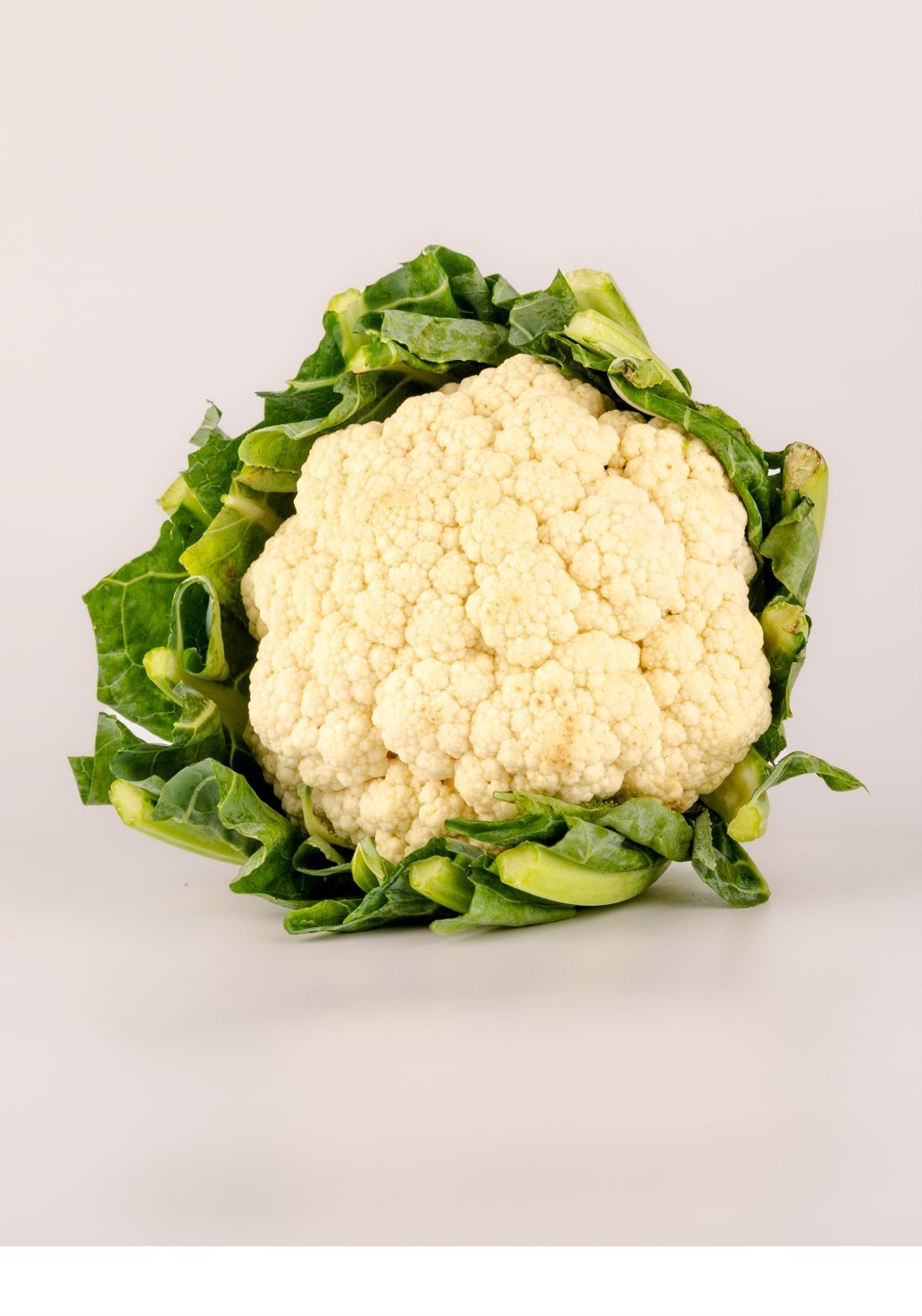 Cauliflowerimg 1