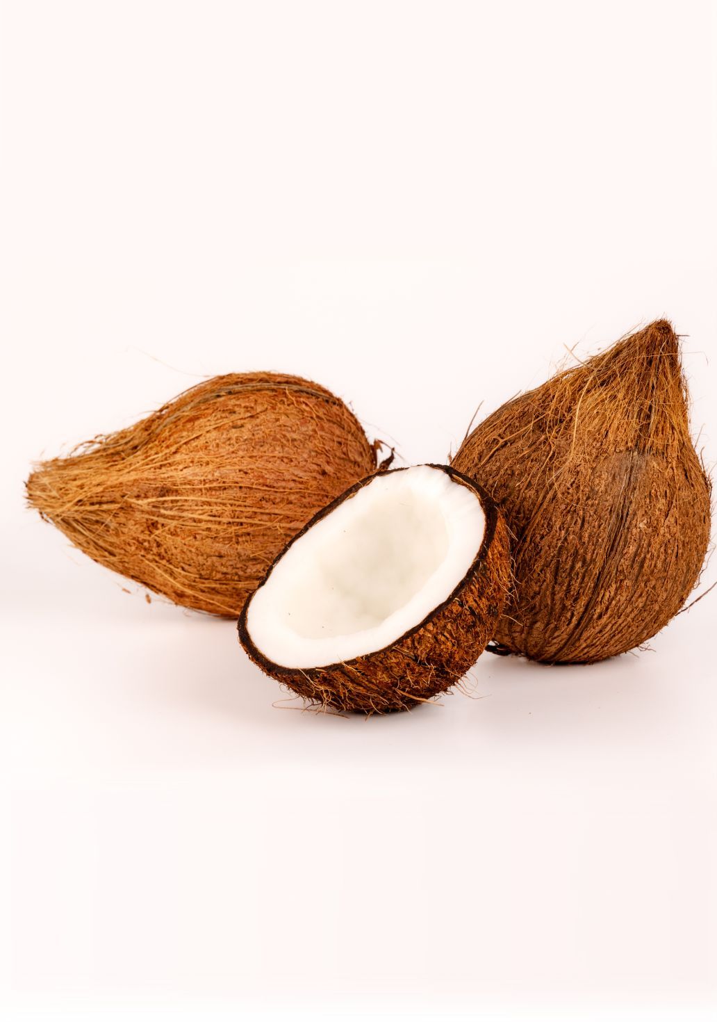 Coconutimg 1