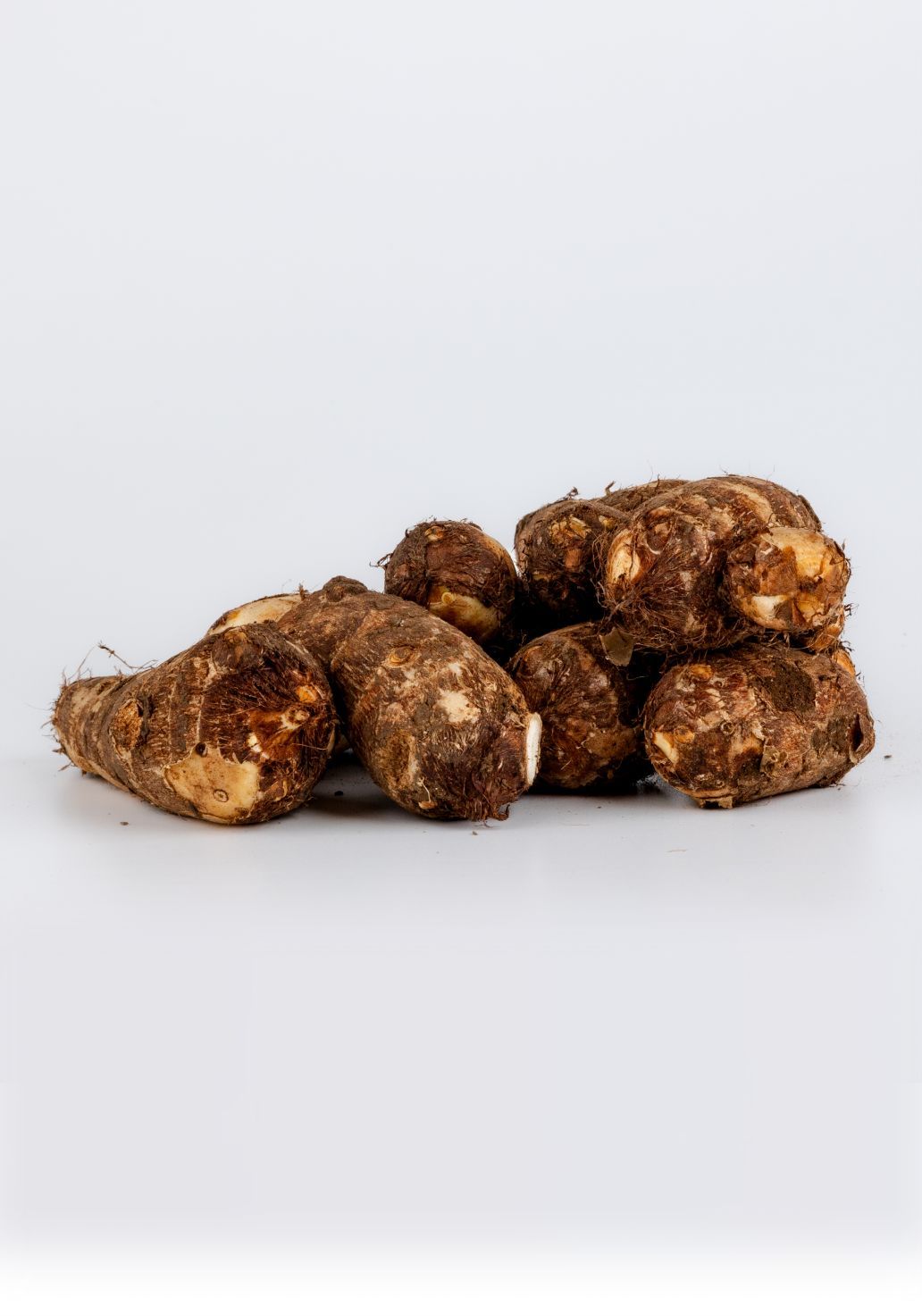 Colocasia [Arbi]img 1