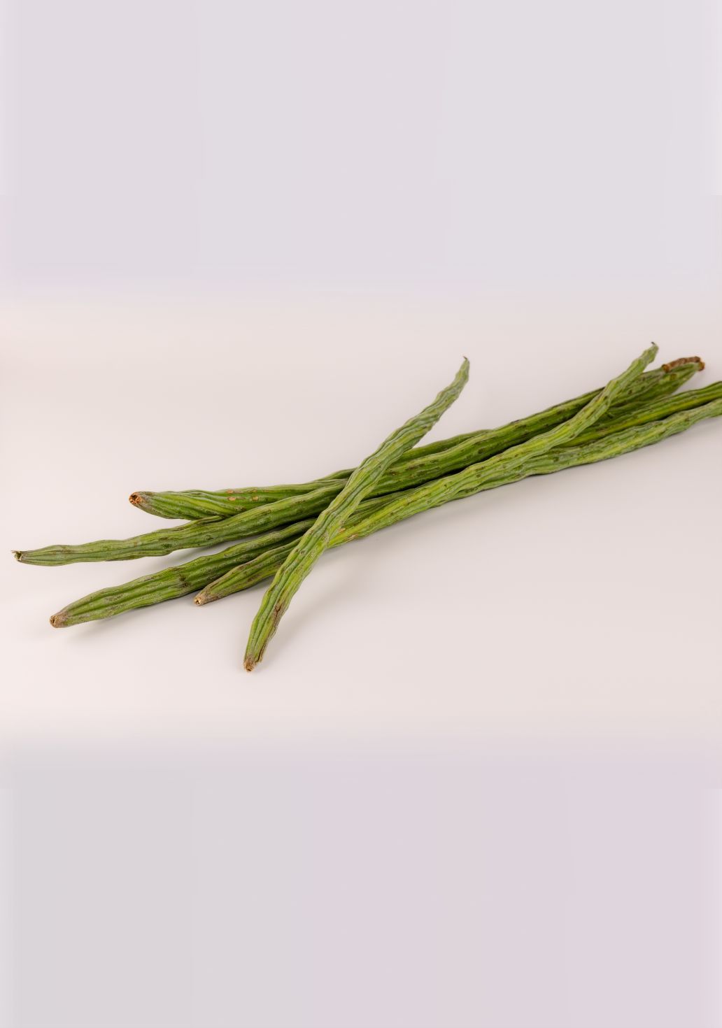 Drumstick [Moringa]img 1