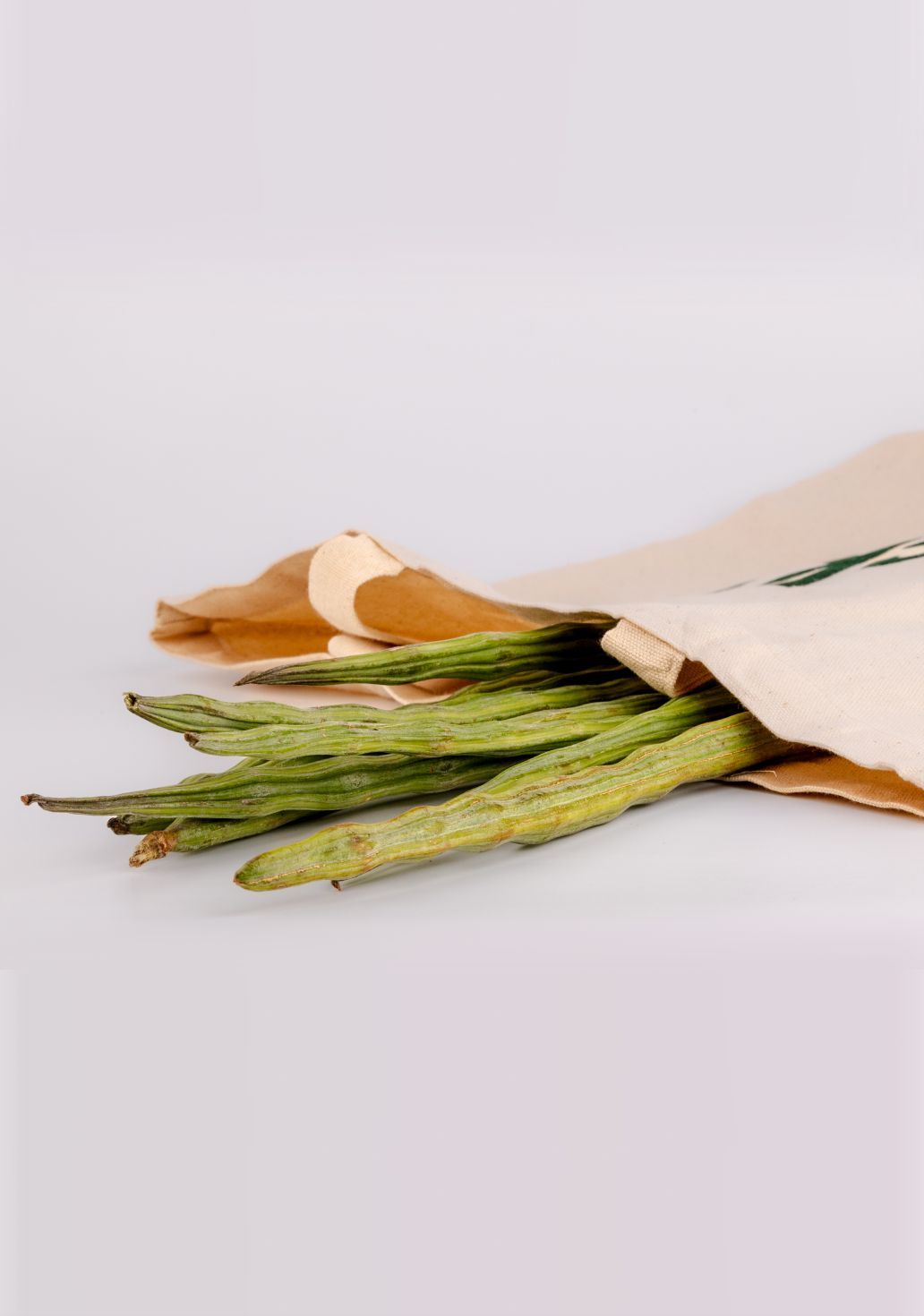 Drumstick [Moringa]img 2