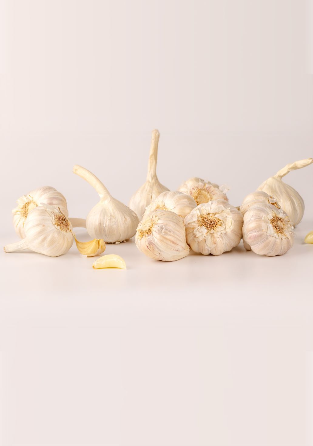 Garlic [Lehsun]img 2