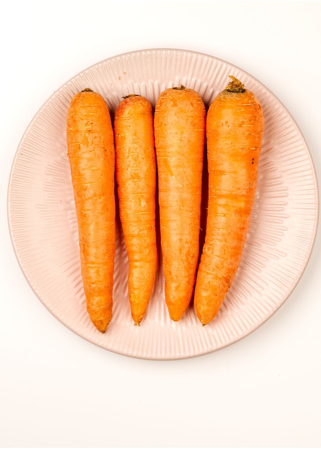 Carrot Orange [English]img 1