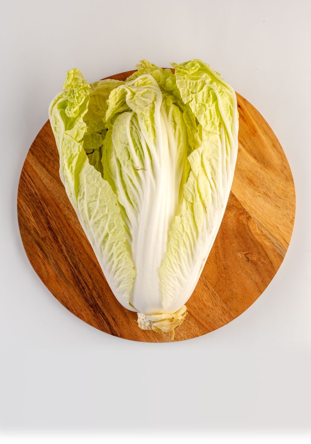 Chinese Cabbageimg 1