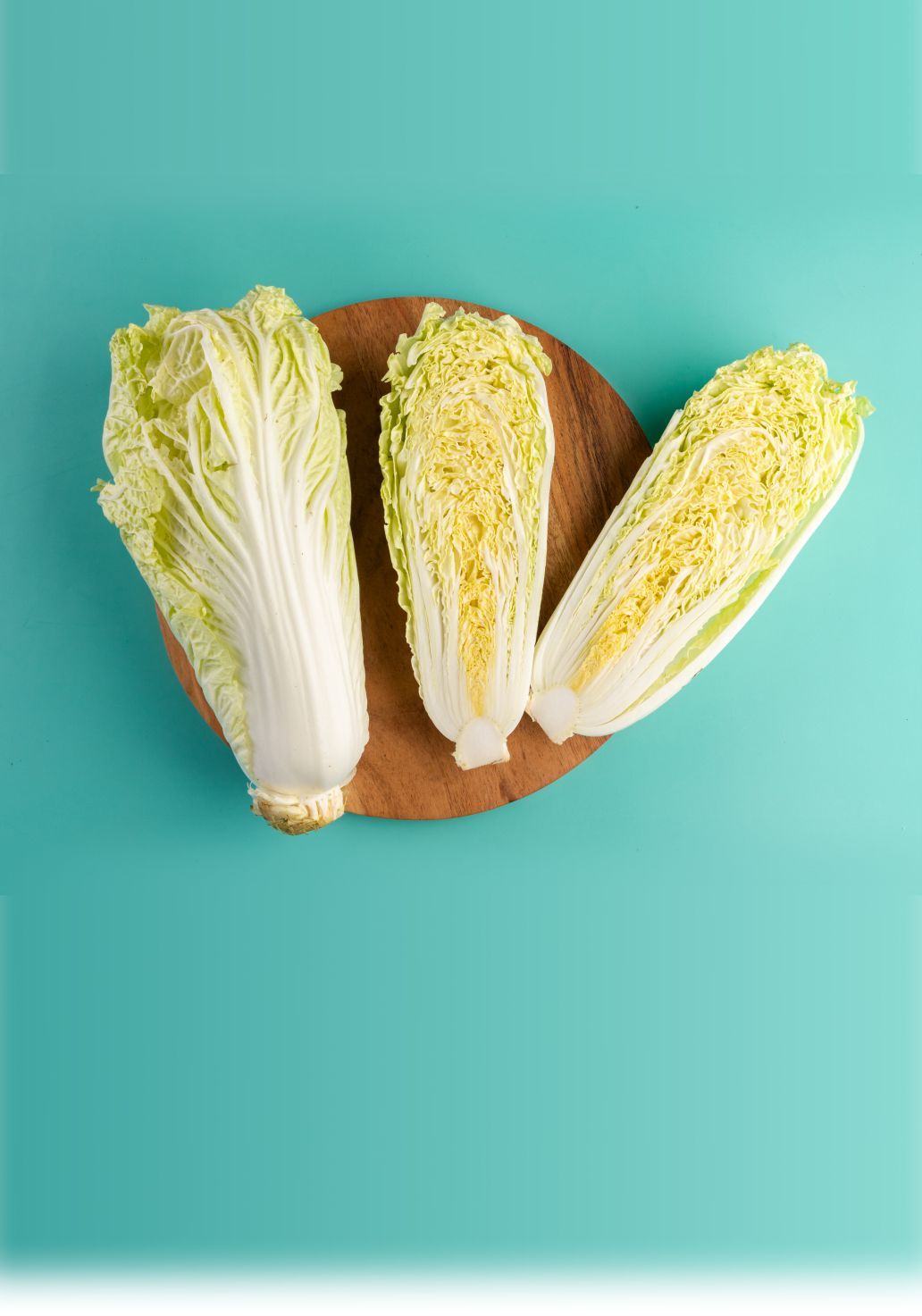 Chinese Cabbageimg 2