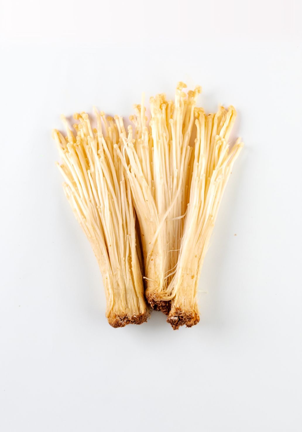 Enoki Mushroomimg 1