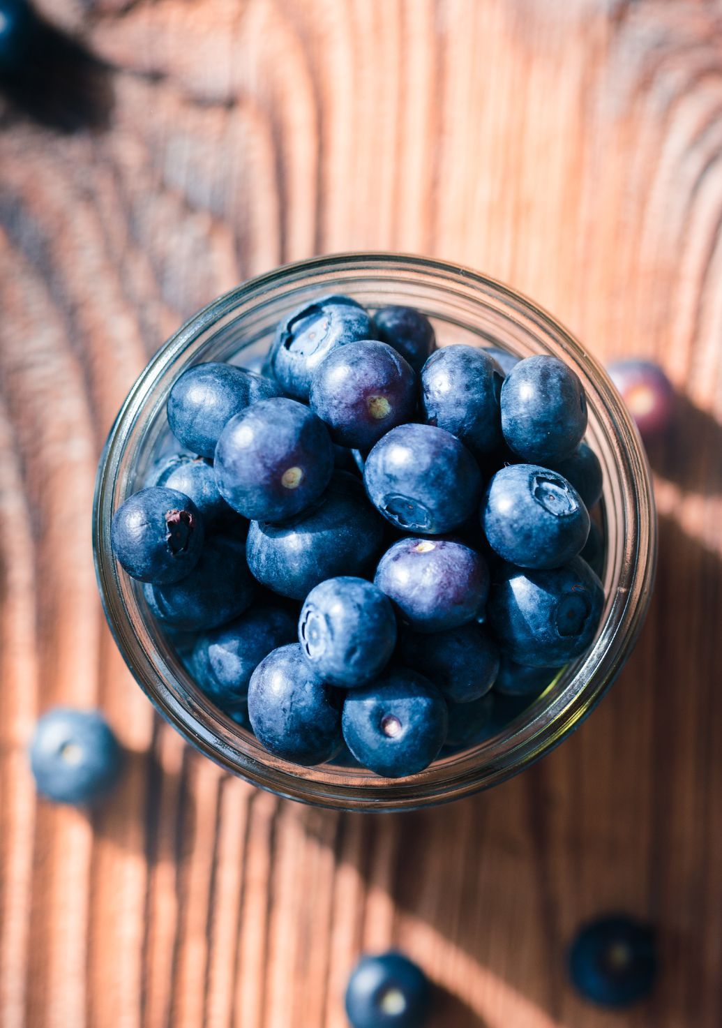 Blueberryimg 1