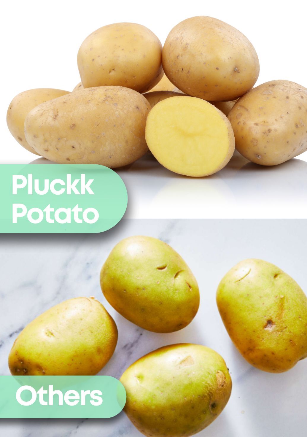 Potatoimg 2