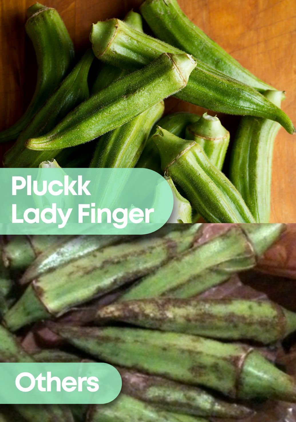 Lady Finger [Bhindi]img 4