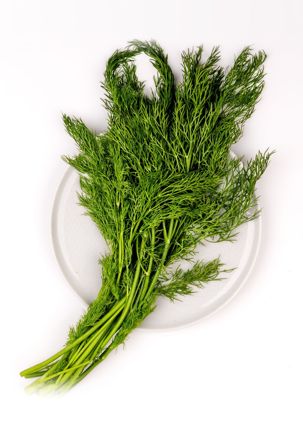 Dill Leavesimg 2