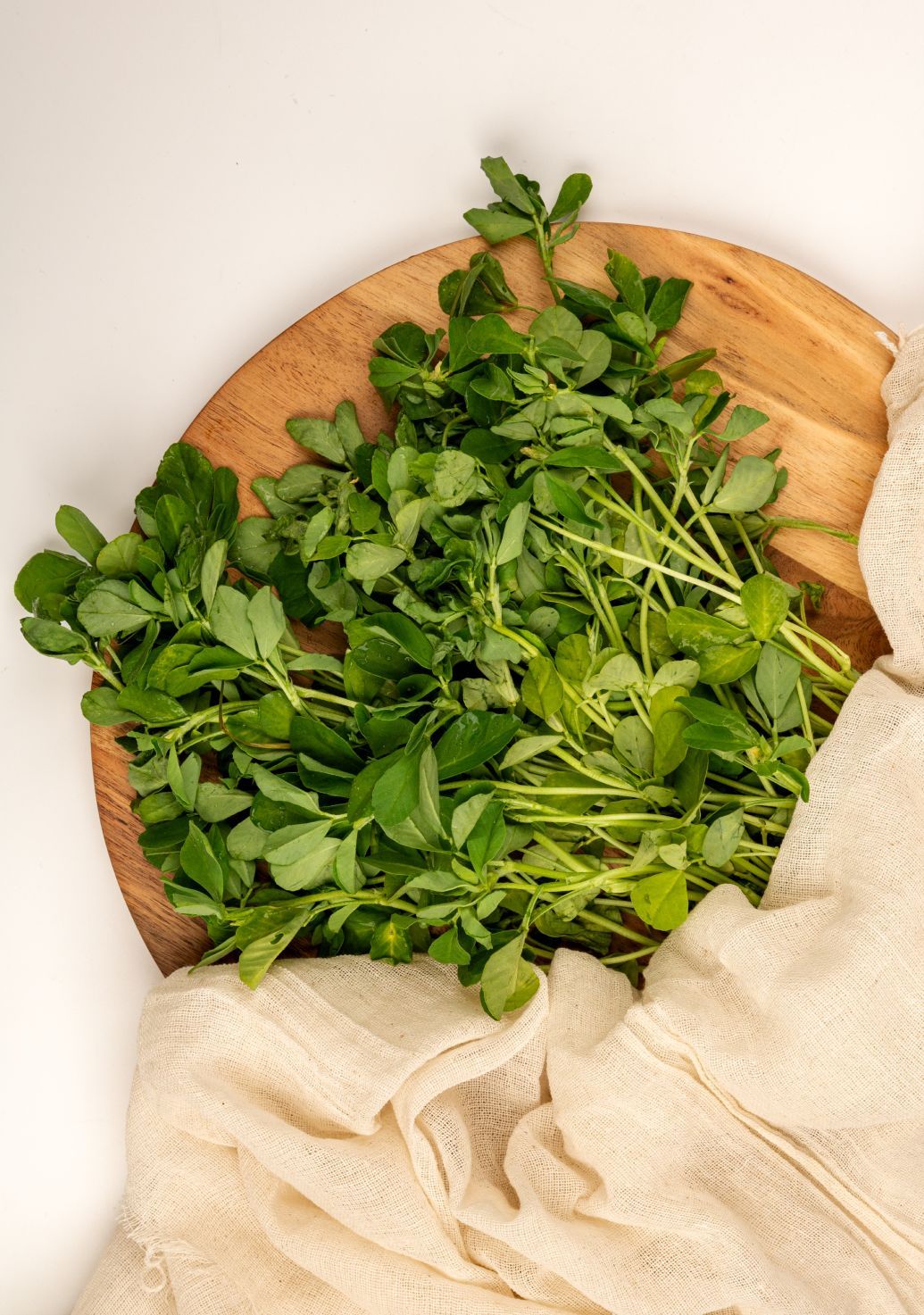 Fenugreek [Methi]img 3