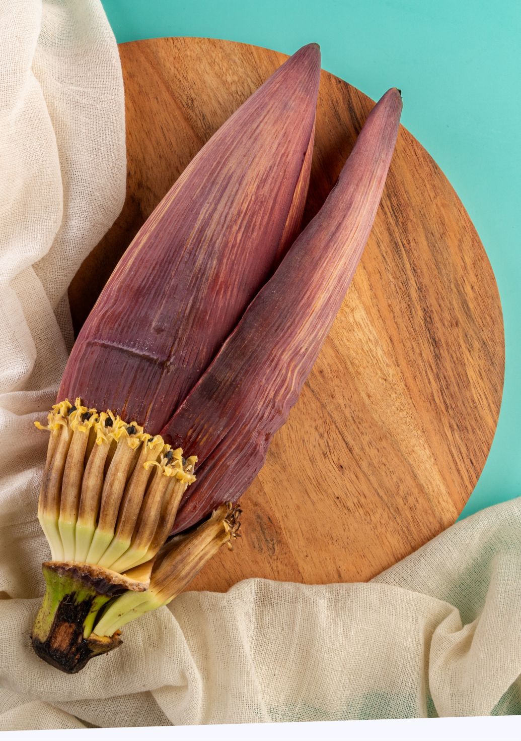 Banana Flowerimg 2