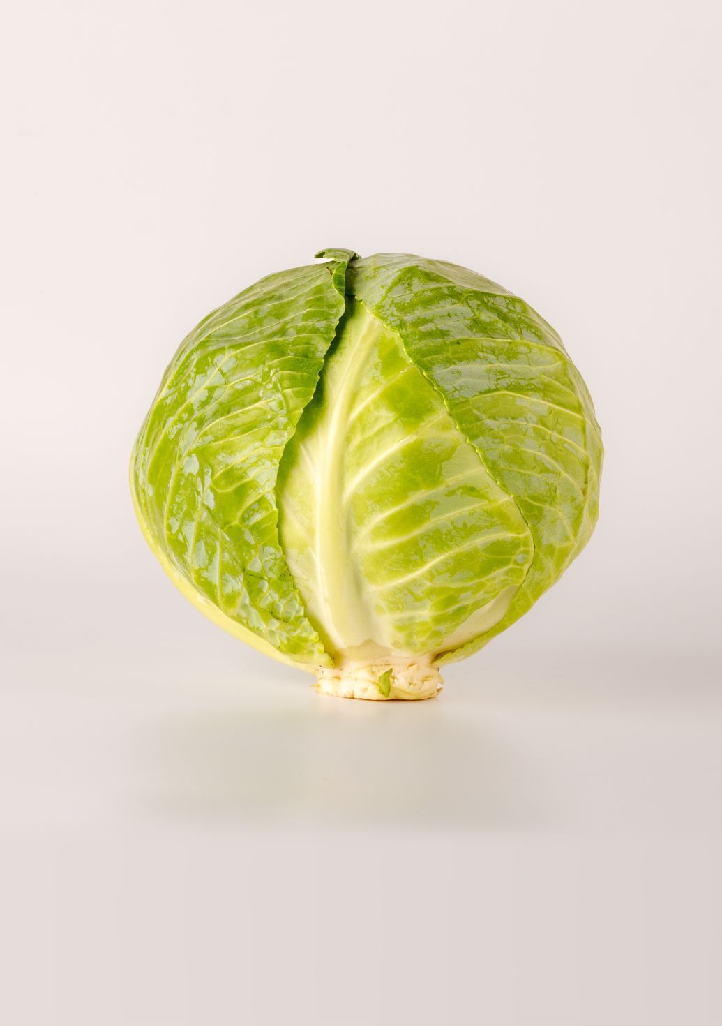 Cabbageimg 1