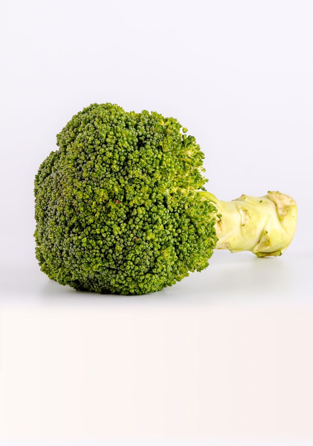 Broccoliimg 2