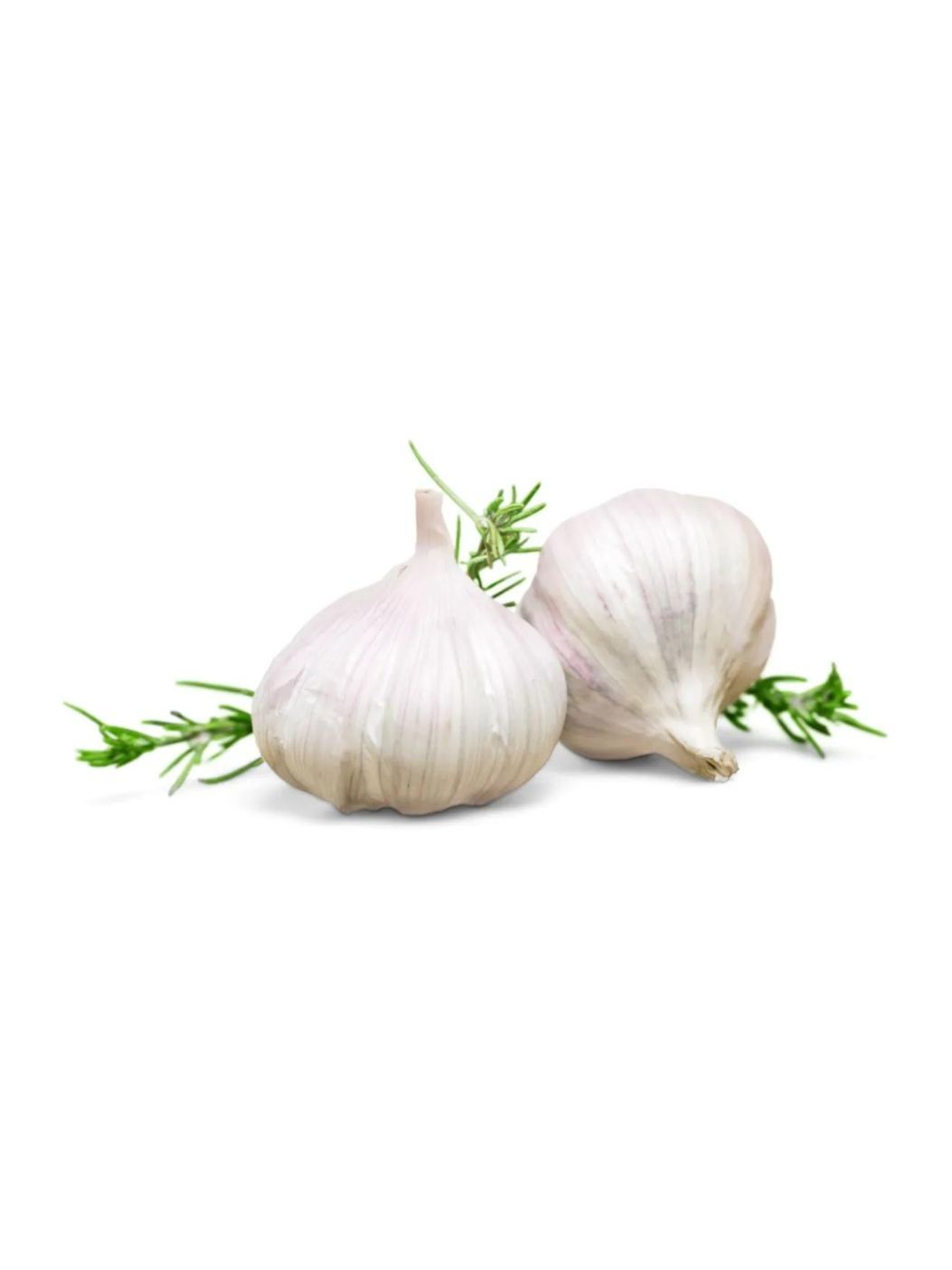 Organic Garlicimg 1
