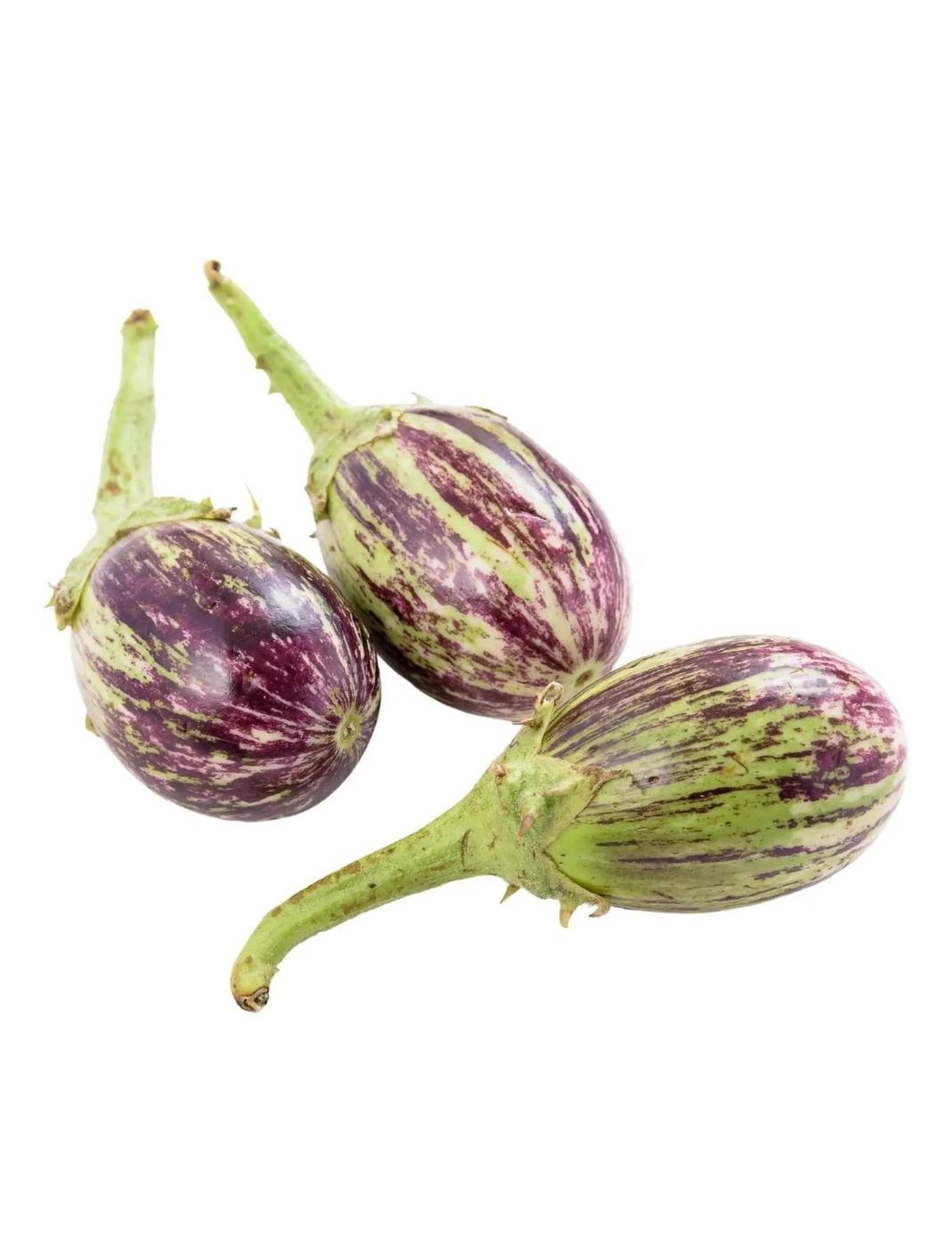 Organic Brinjal Kateriimg 1