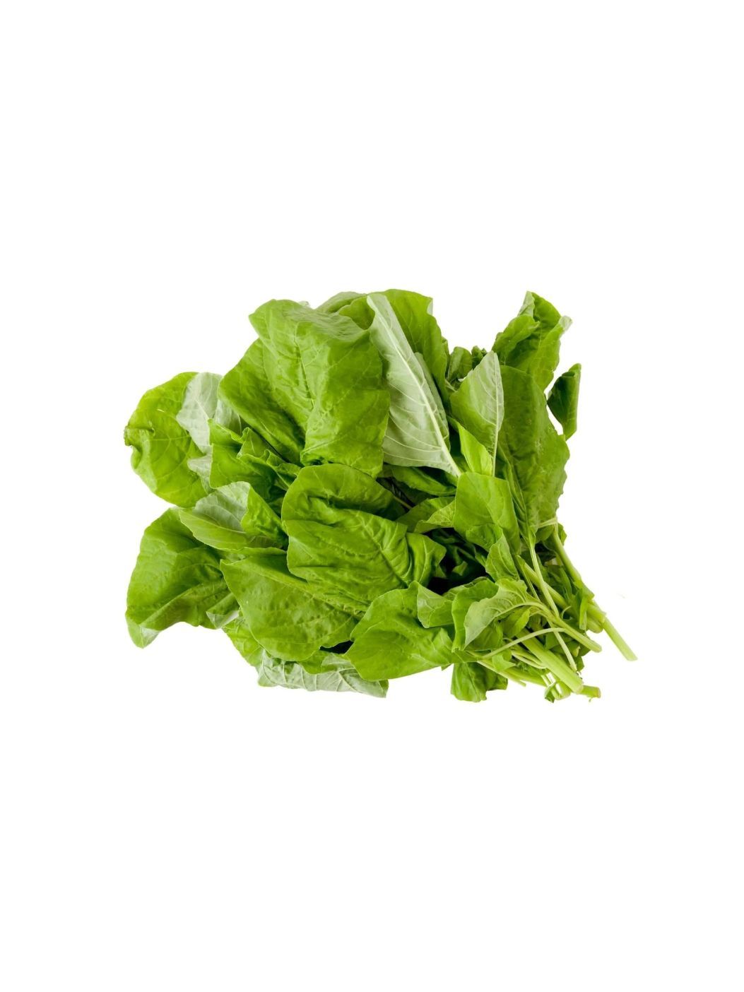 Amaranthus Greenimg 1