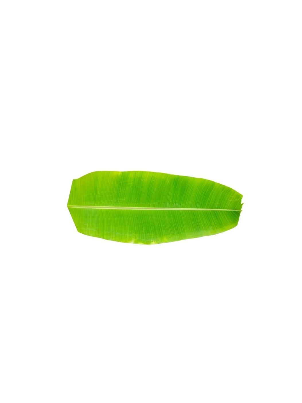 Banana Leafimg 1