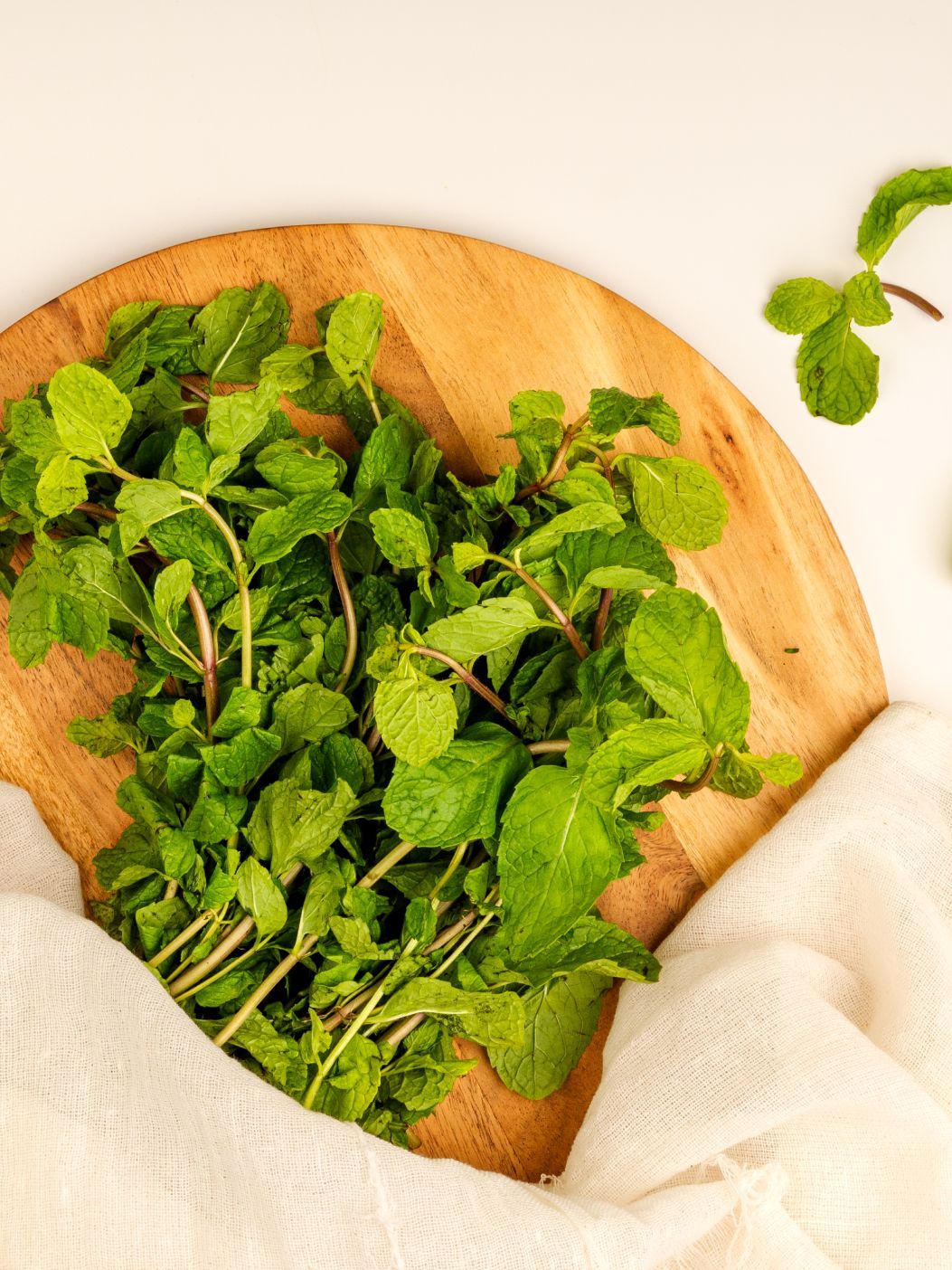 Mint Leaves [Pudina]img 1