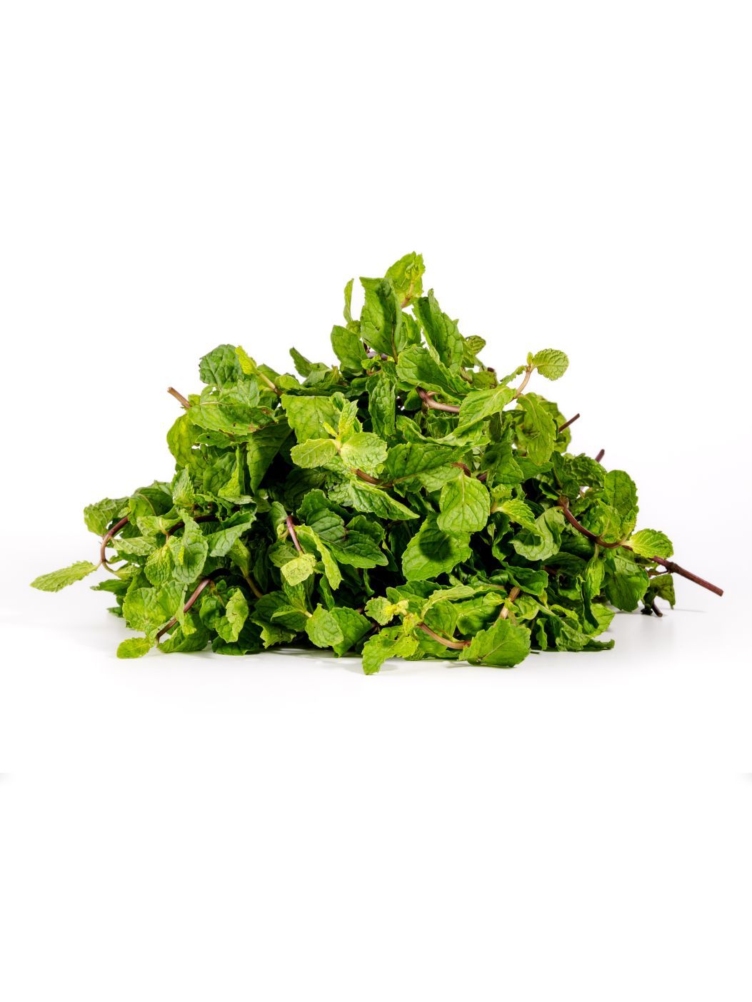 Mint Leaves [Pudina]img 2