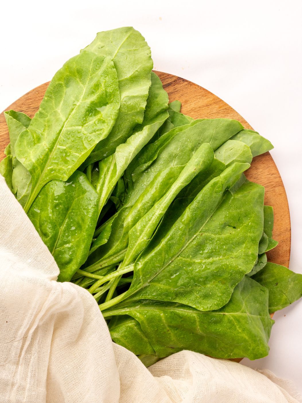 Spinach [Palak]img 1
