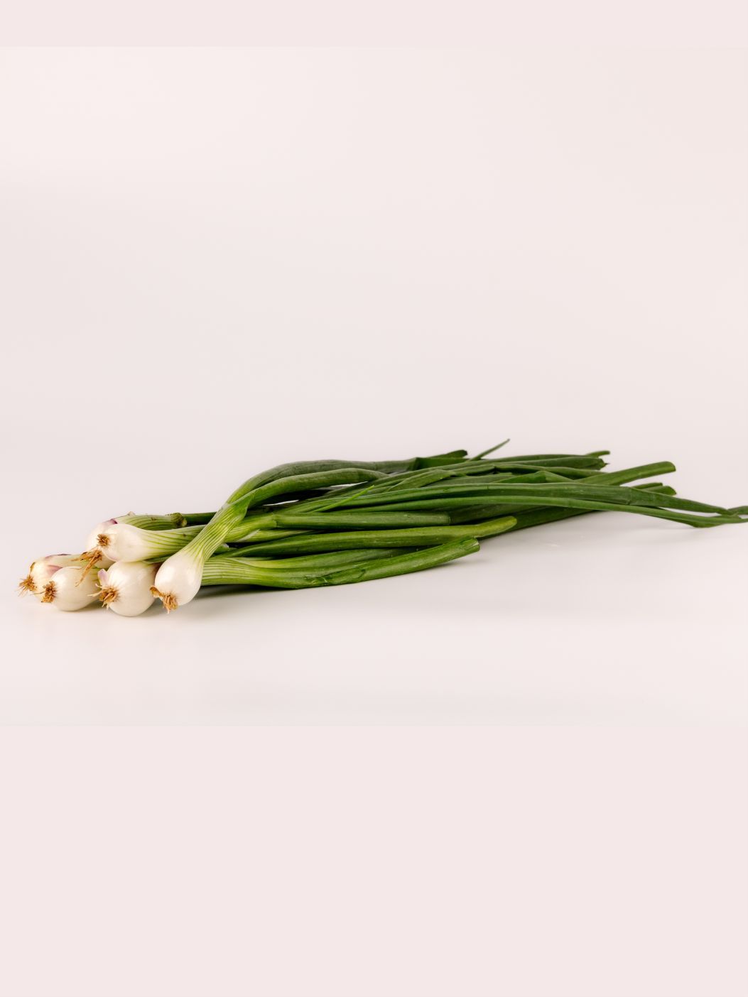 Spring Onionimg 3
