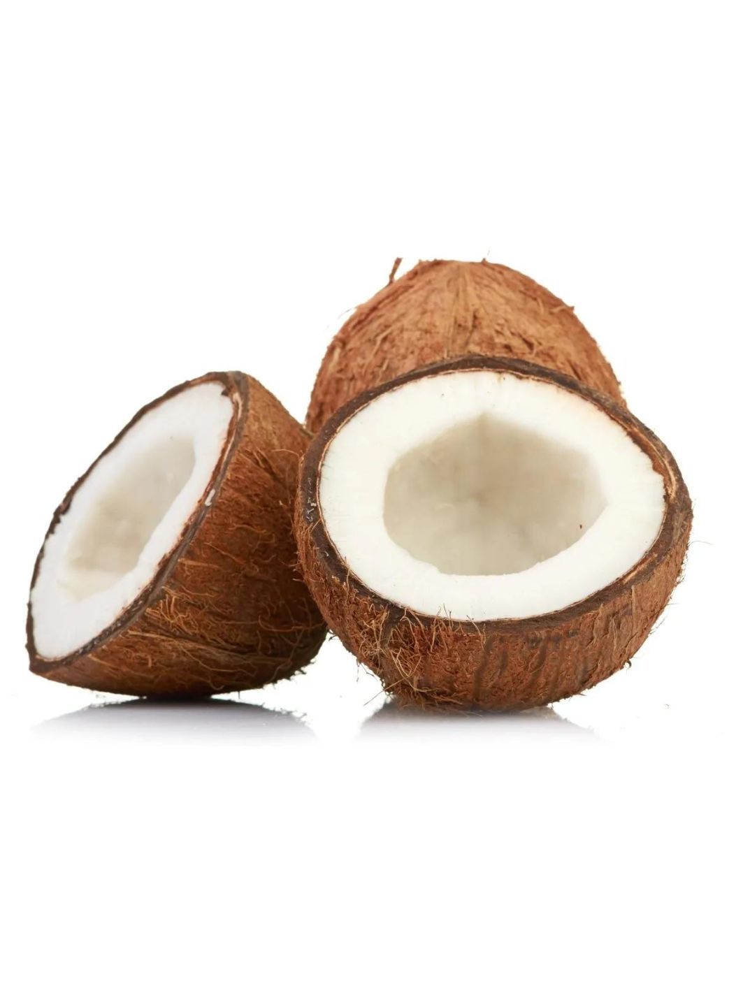 Coconut [Large]img 1