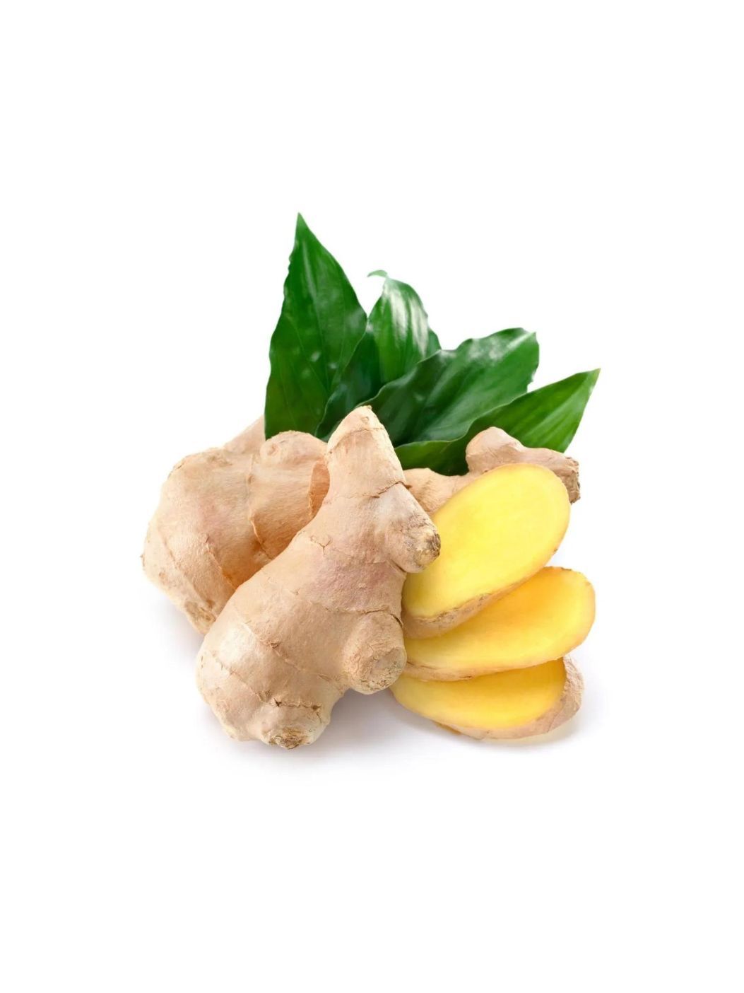 Ginger [Adrak] [Ozone-Washed]img 1