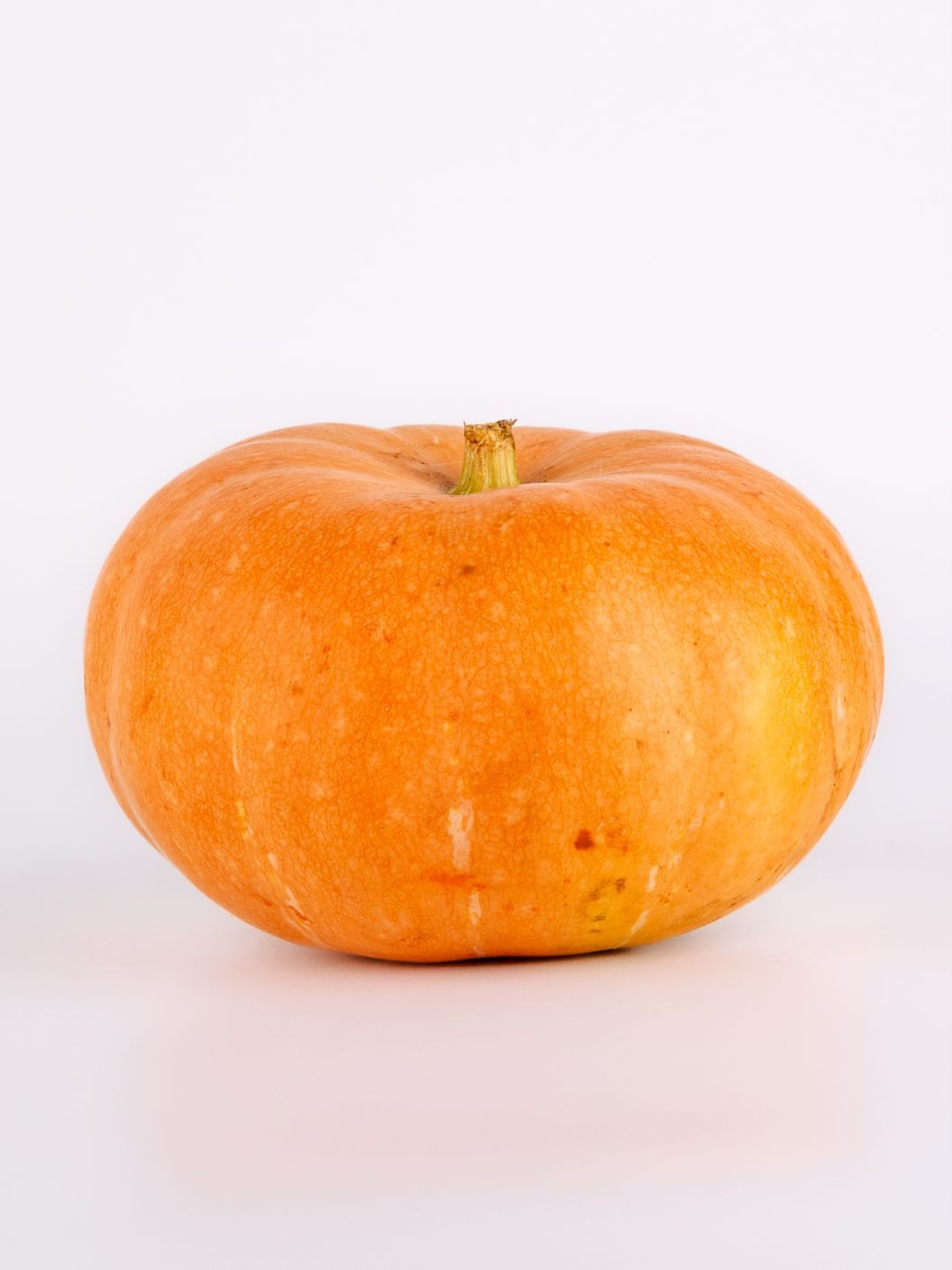 Pumpkin Discoimg 4