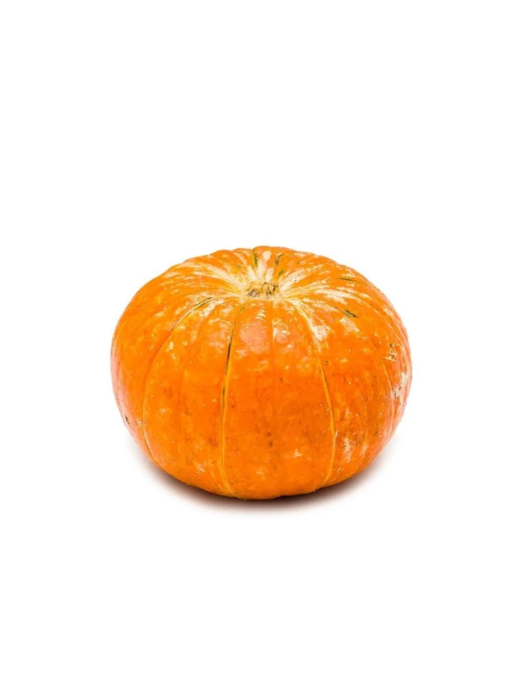 Pumpkin Redimg 1
