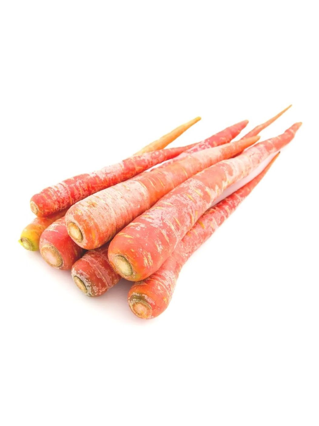 Carrot Red [Delhi]img 1