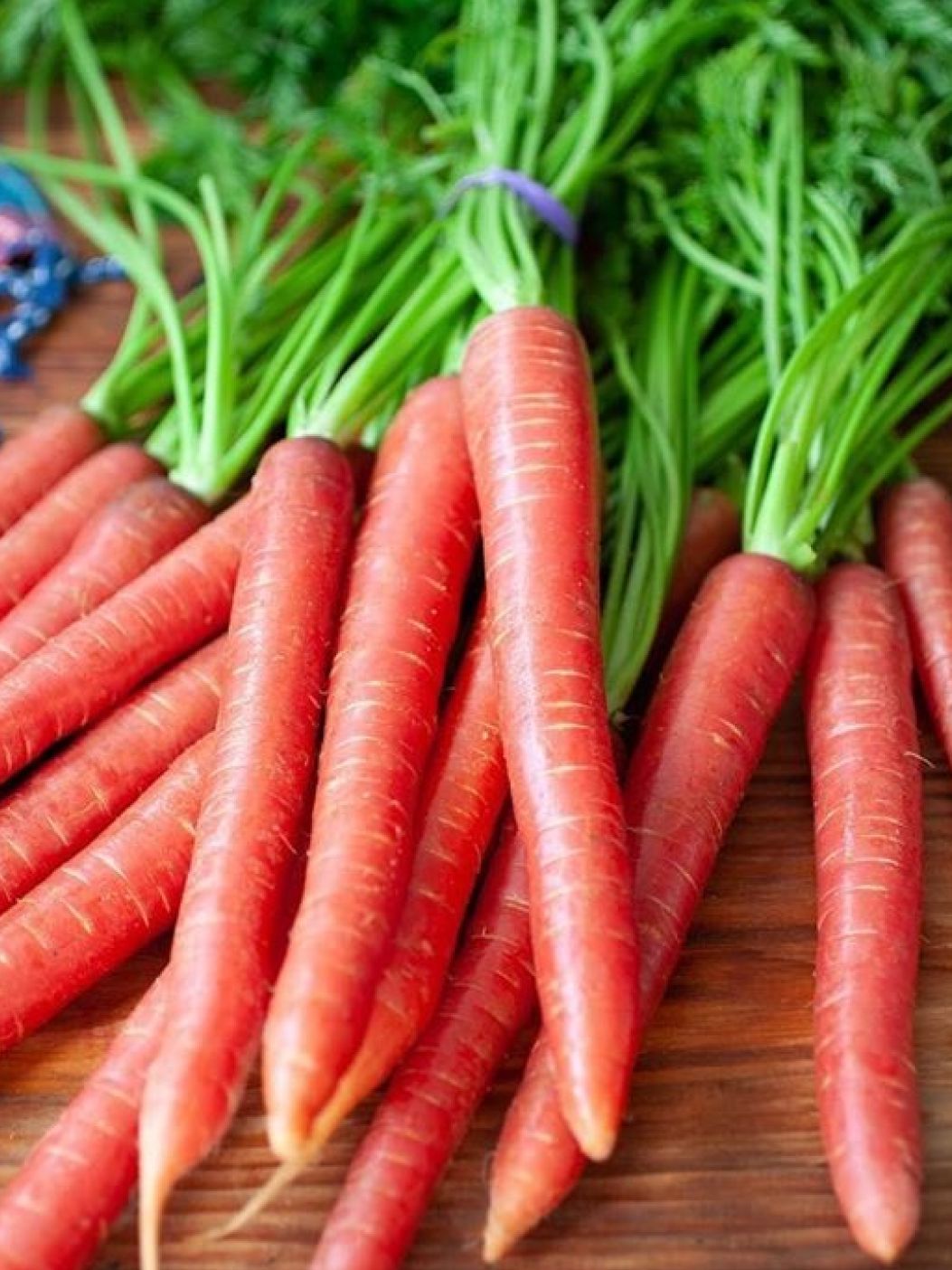 Carrot Red [Delhi]img 3