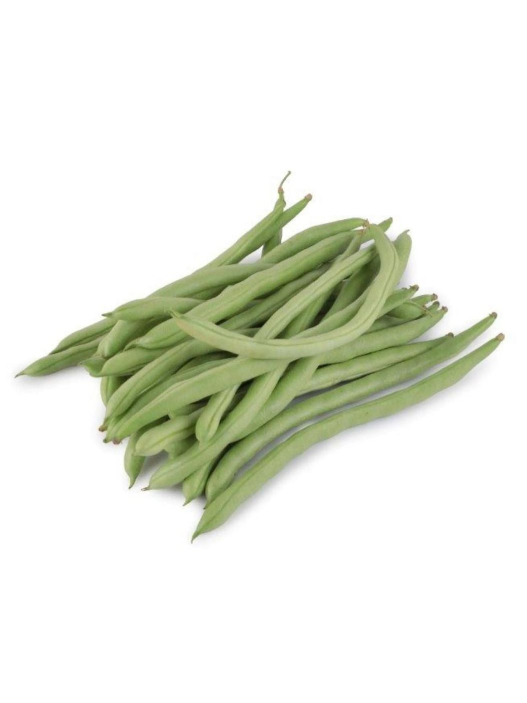 Beans Frenchimg 1