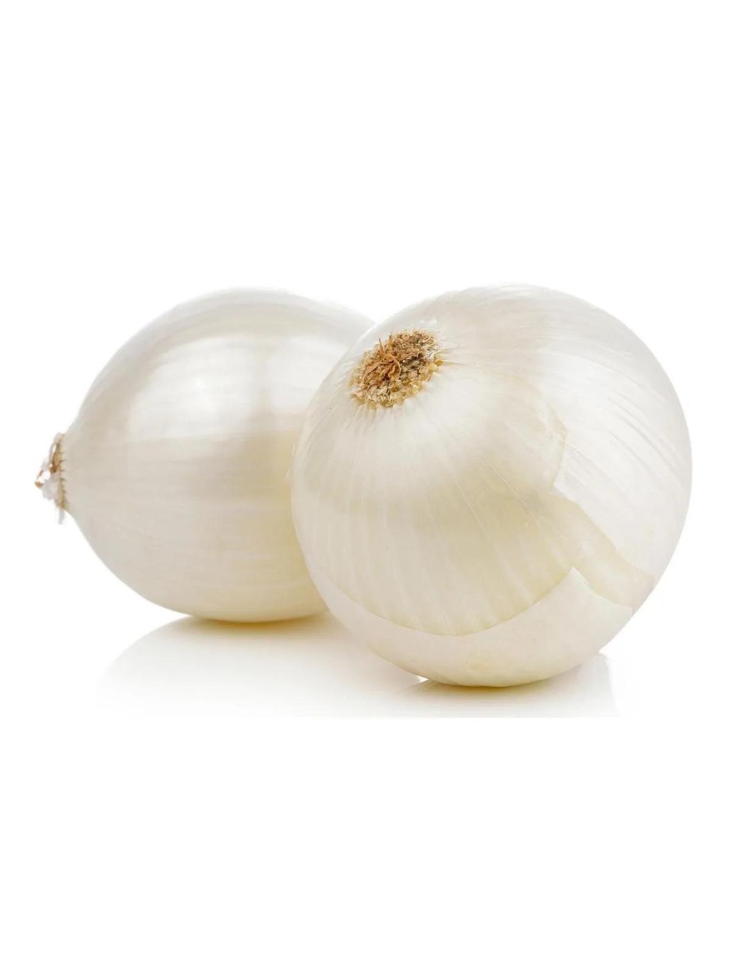 Onion Whiteimg 1