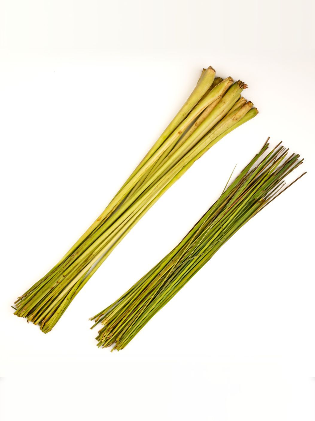 Lemongrassimg 2