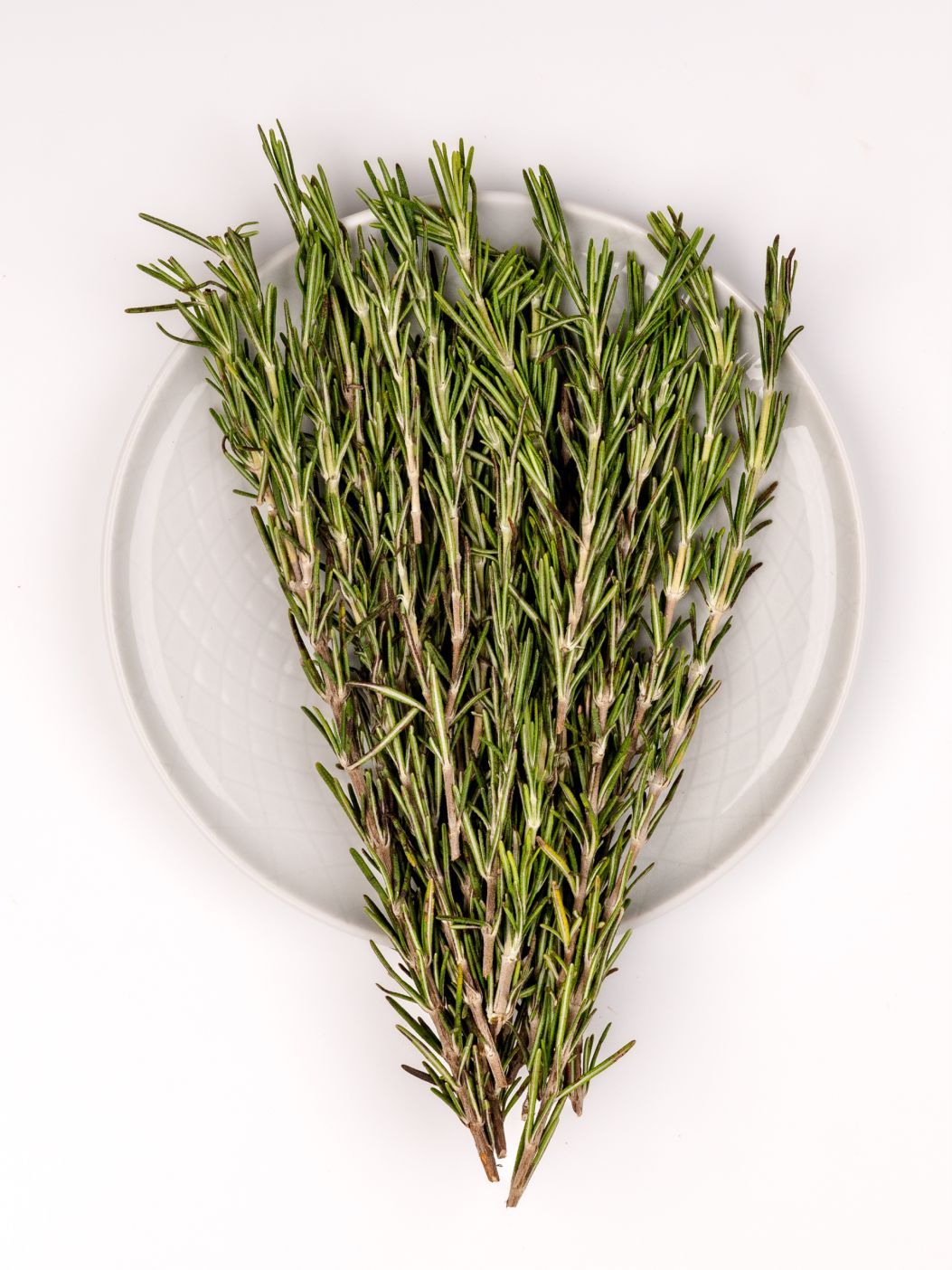 Rosemaryimg 3