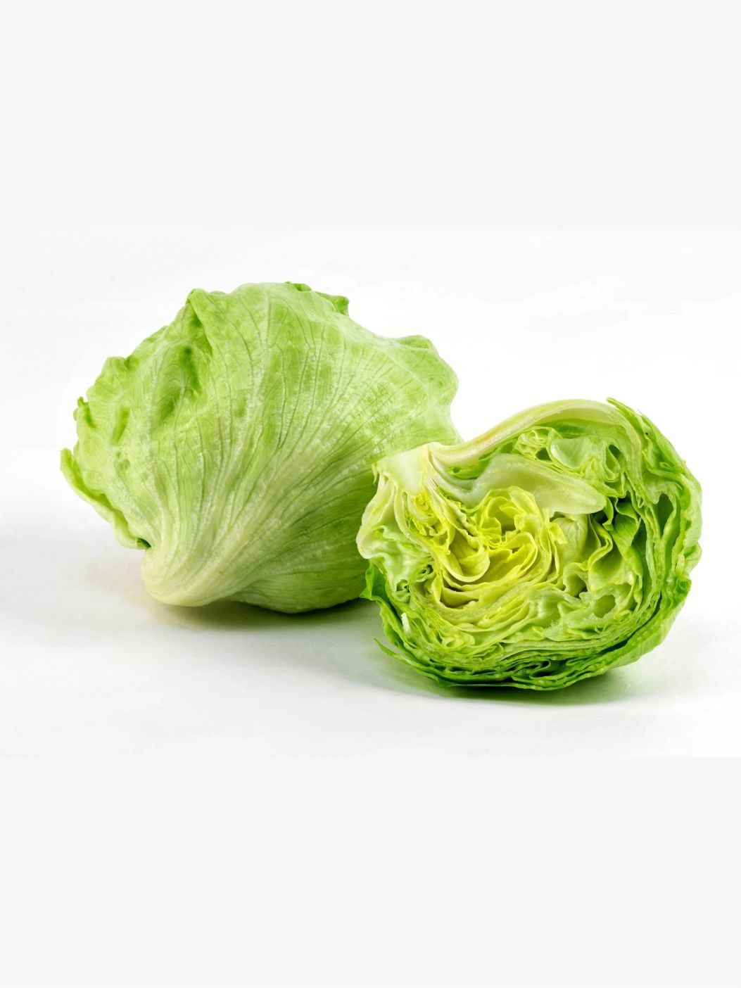 Lettuce Icebergimg 1