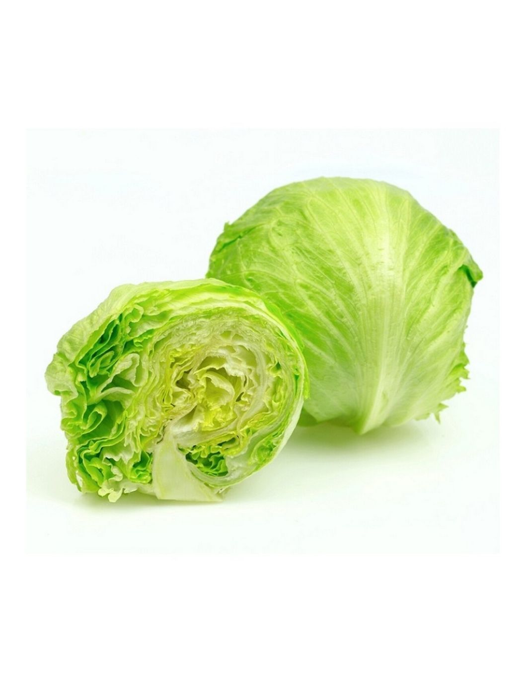Lettuce Icebergimg 2