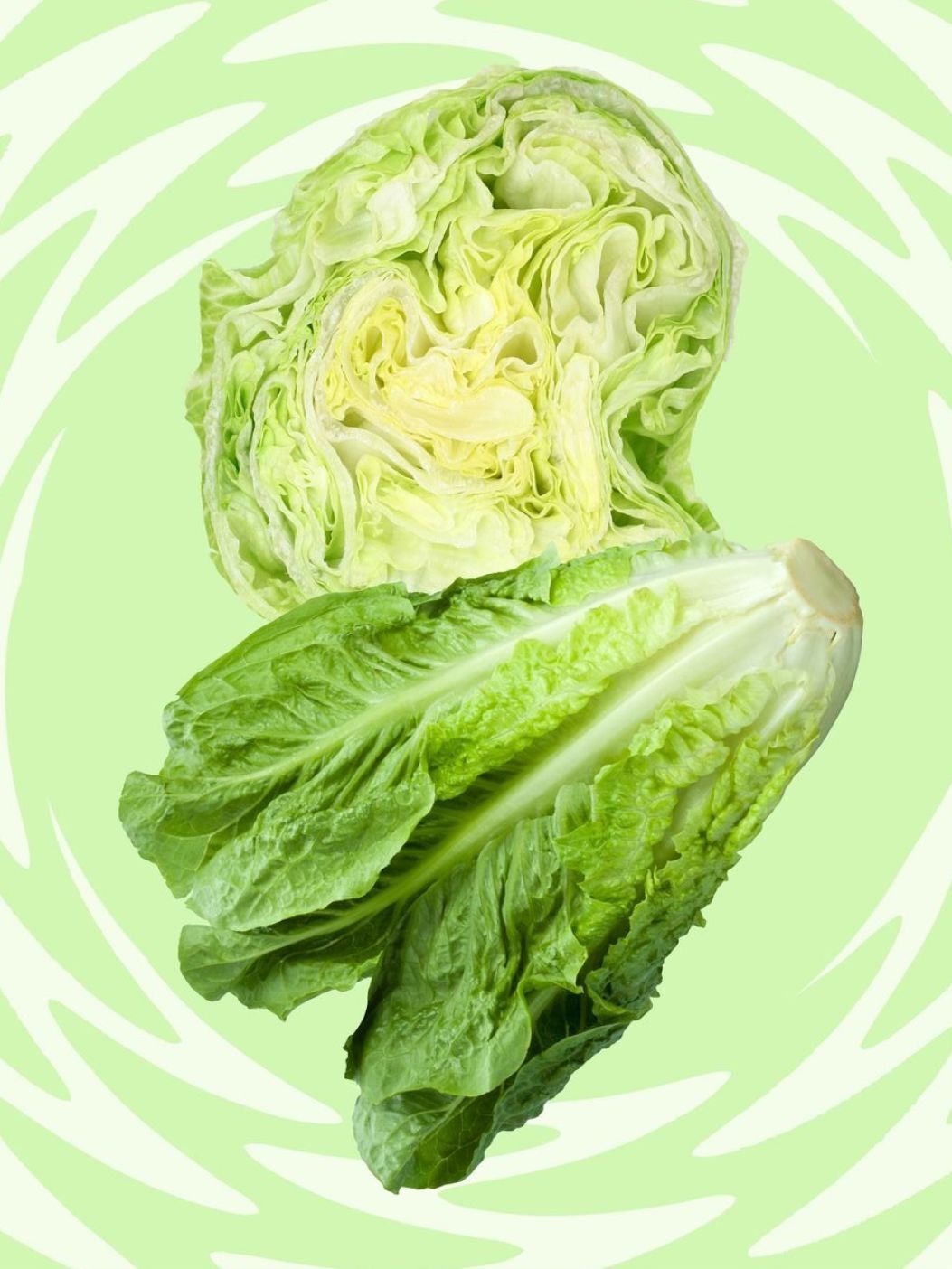 Lettuce Icebergimg 3