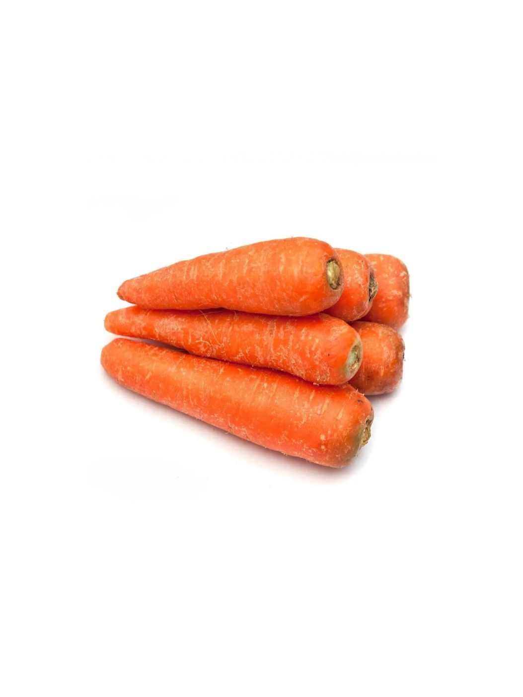 Ooty Carrotimg 1