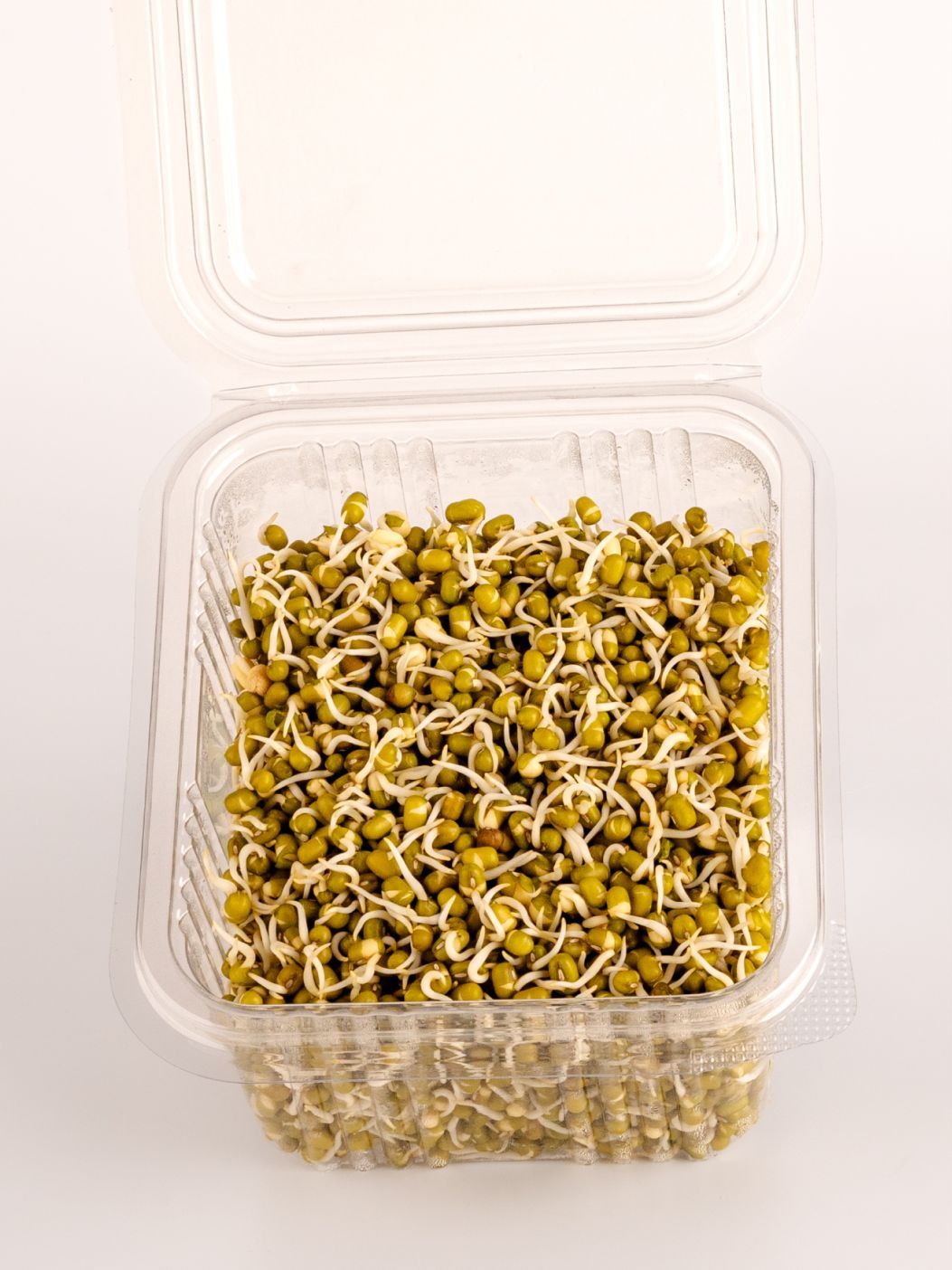 Moong Sproutsimg 2