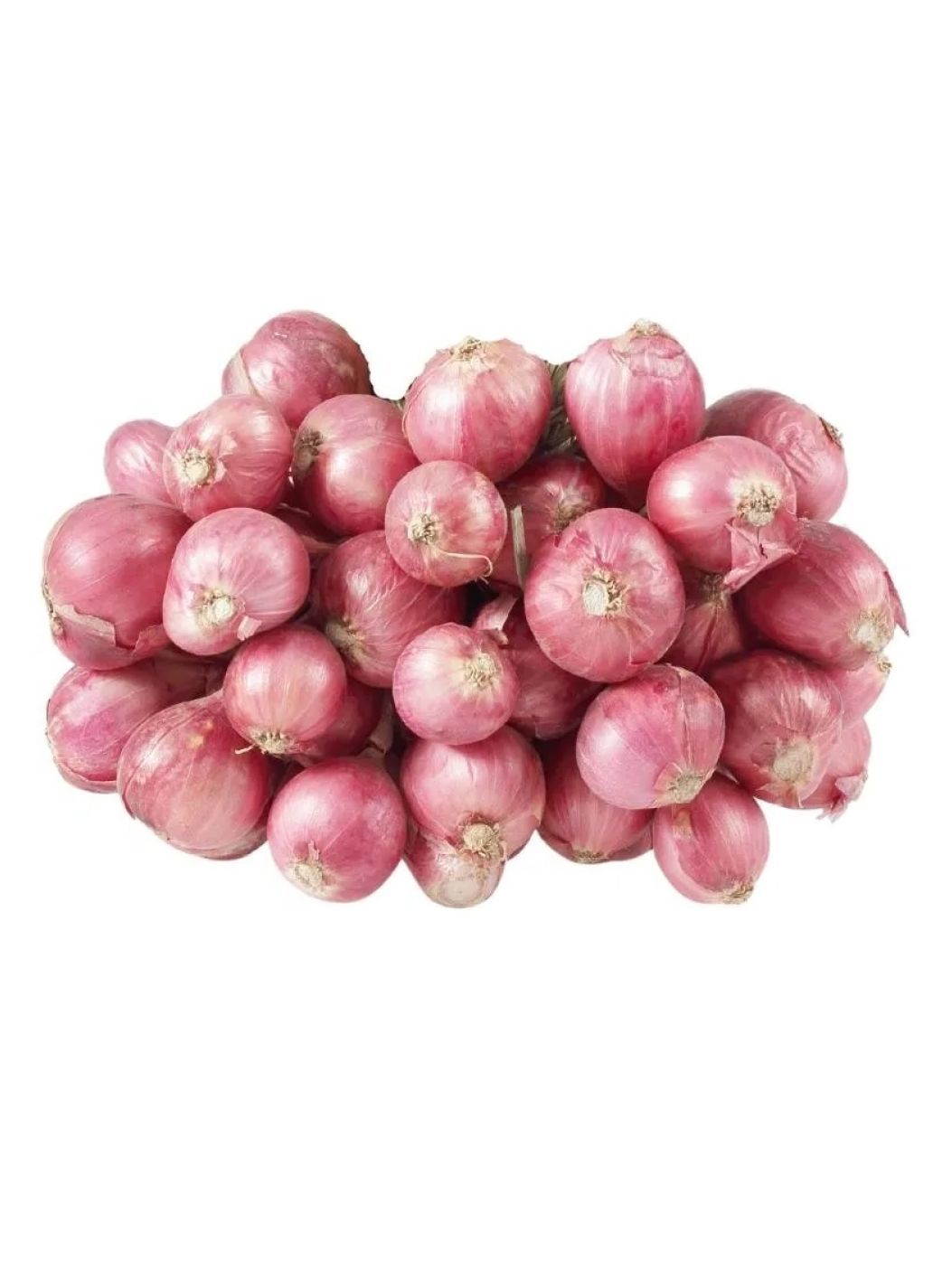 Peeled Onion Sambharimg 1