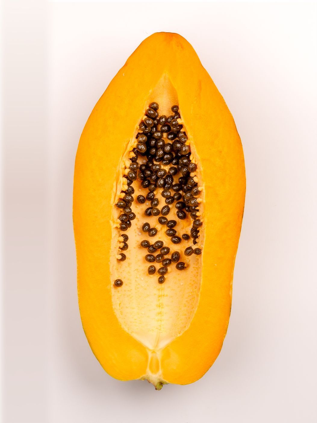 Papayaimg 3