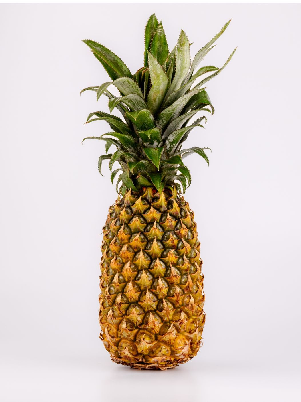 Pineappleimg 1